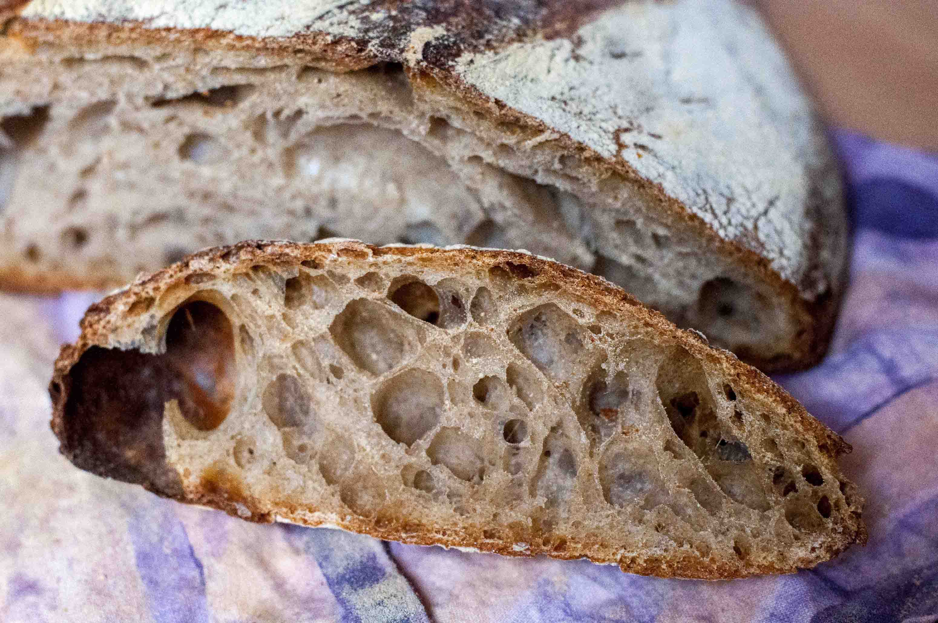 No-Knead Sourdough with Old Dough pic
