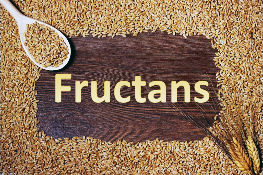 fructans and health